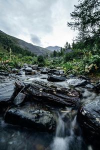 River flowing through rocks