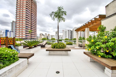 Potted plants by modern buildings against sky