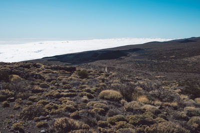 Scenic view of landscape against clear sky