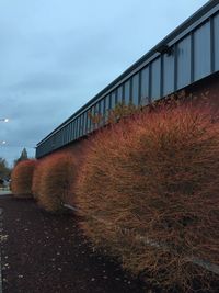 View of bridge on field against sky
