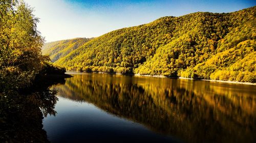 Scenic view of lake by trees against sky