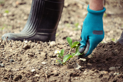 Low section of person standing on mud