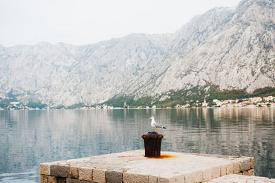 Scenic view of lake and mountains against clear sky