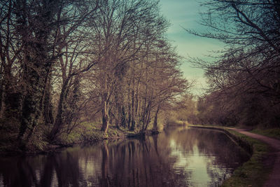 Scenic view of lake in forest