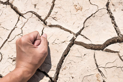 Close-up of human hand on sand