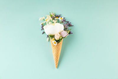 Close-up of flowers against white background