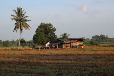 House on field against sky