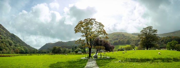 Panoramic shot of trees on field against sky