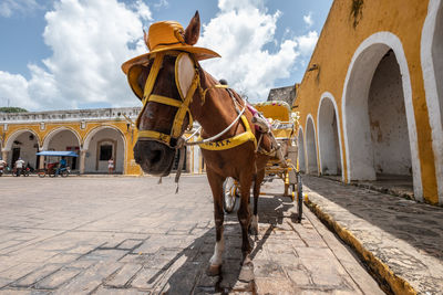 Wide angle picture of perde team as cab in the old town of izamal