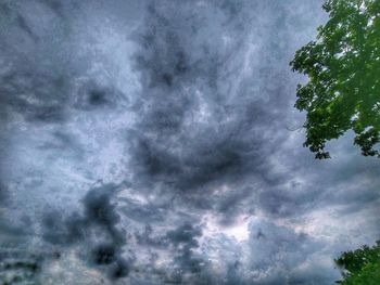 Low angle view of tree against cloudy sky