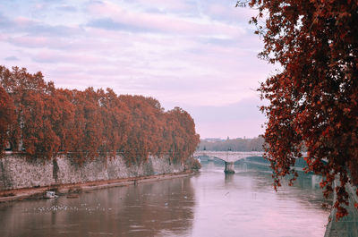 Scenic view of river amidst trees against sky during autumn