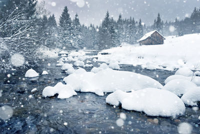 Snowing, fresh snow in the mountains. snowy fir trees. christmas greetings