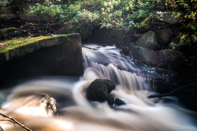 Stream flowing through rocks in forest