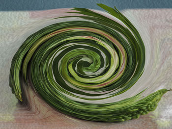 High angle view of green leaves on table