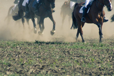 View of people riding horses on field at fuchsjagd, lüneburger heide 