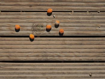 Close-up of pumpkins on wood