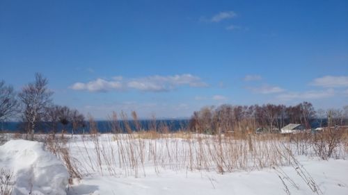 Scenic view of snow covered landscape