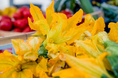 Close-up of yellow flowers for sale in market