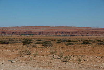 Scenic view of landscape against clear sky
