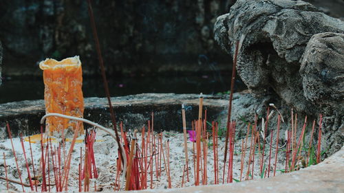 Close-up of frozen water