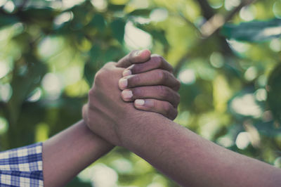 Cropped hand of man holding plant