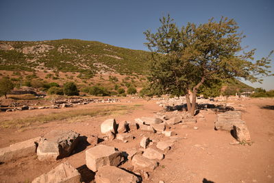 Scenic view of landscape against clear sky