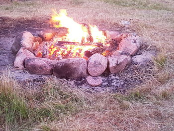 Bonfire on wooden log on field