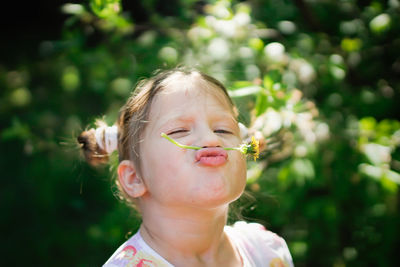 Funny european girl child with dandelion, kid pinches dandelion with his lips in backyard, in park.
