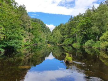 Scenic view of lake by trees against sky
