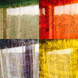 Full frame shot of tiled floor