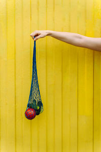 Low section of woman holding light bulb