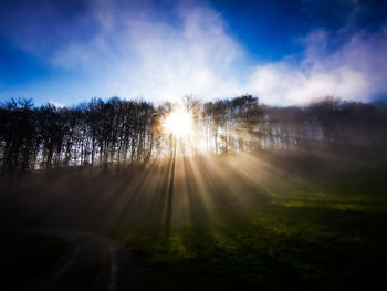 Sunlight streaming through trees on field against sky at sunset