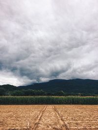 Agricultural field against cloudy sky