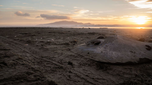 Sunset shot with colorful sky with kapiti island in backdrop,kapiti coast, wellington, north island