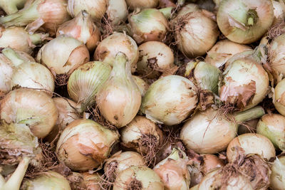 Full frame shot of onions