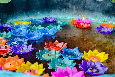 Close-up of multi colored flowers