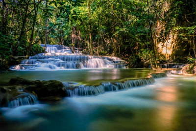 Scenic view of waterfall in forest