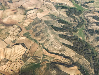 High angle view of agricultural field