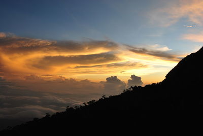 Scenic view of silhouette trees against sky during sunset