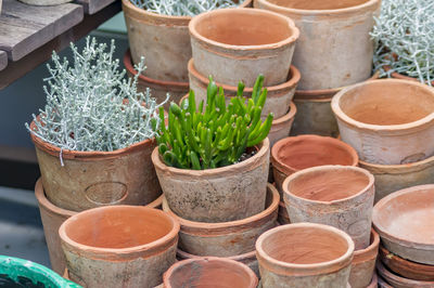 High angle view of potted plants in yard