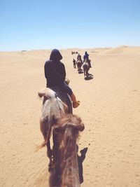 Rear view of man riding horse in desert against clear sky