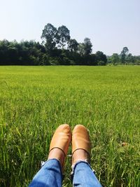 Low section of woman on grassy field