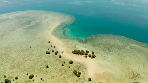 Mangrove trees on coral reef with sand bar surrounded by sea blue water. 