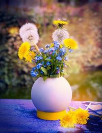 Close-up of yellow flowers in vase