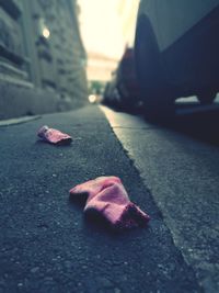 Close-up of pink petals on the road