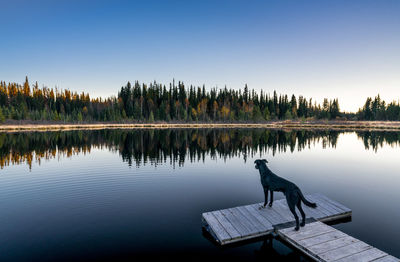 Scenic view of lake against clear sky