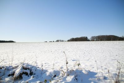 Scenic view of snow covered field against clear blue sky