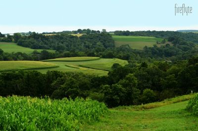 Scenic view of grassy field against sky