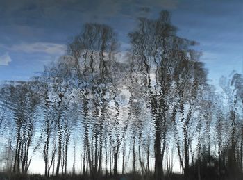 Trees by lake against sky during winter