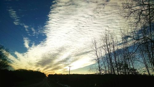 Bare trees on landscape at sunset